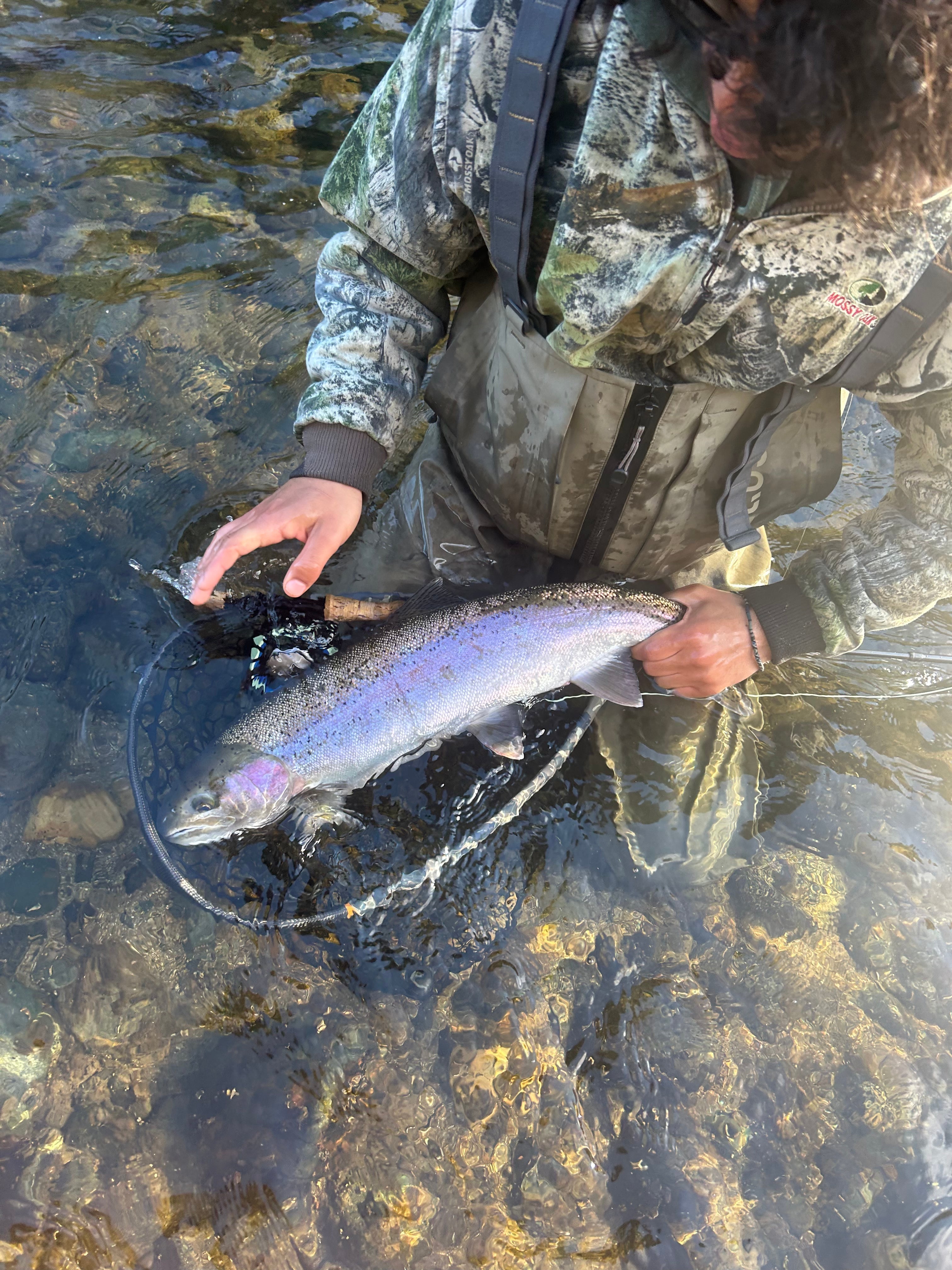 Trinity River Fly Fishing Report