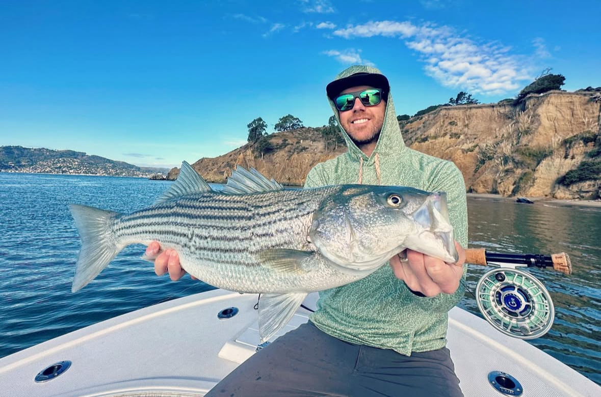 San Francisco Bay Fly Fishing Report