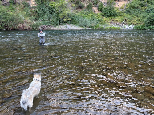 Trinity & Klamath Fly Fishing Report