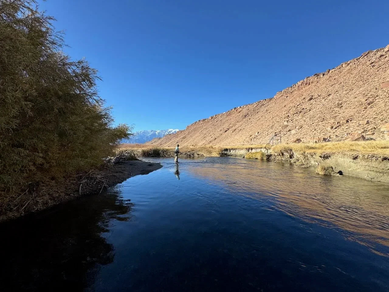 Eastern Sierra Fly Fishing Report