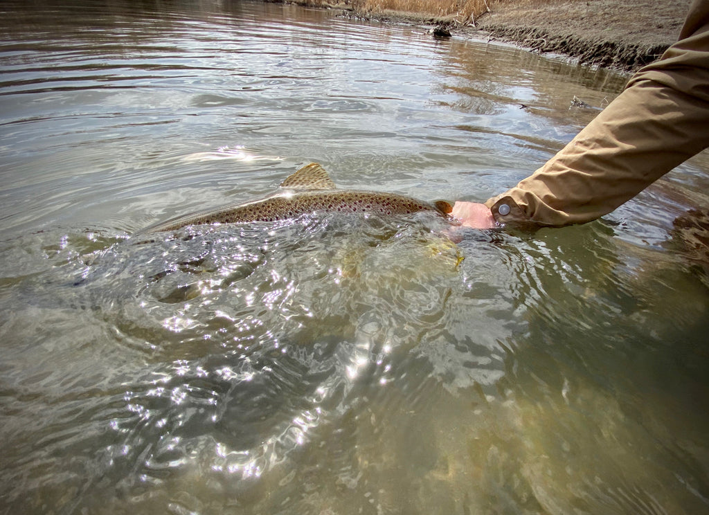 Truckee River Fly Fishing Report