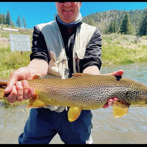 Truckee River Fly Fishing Report
