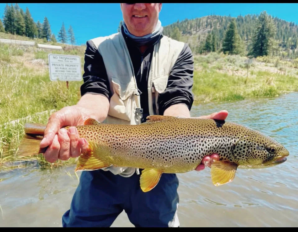 Truckee River Fly Fishing Report
