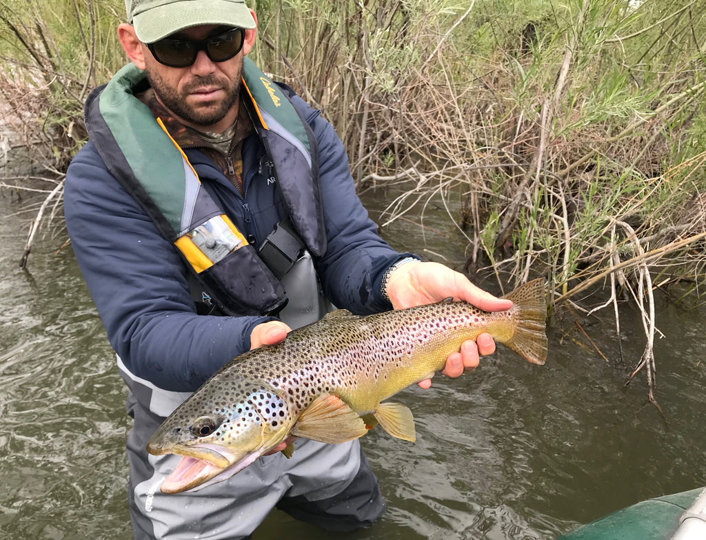 Truckee Fly Fishing Report