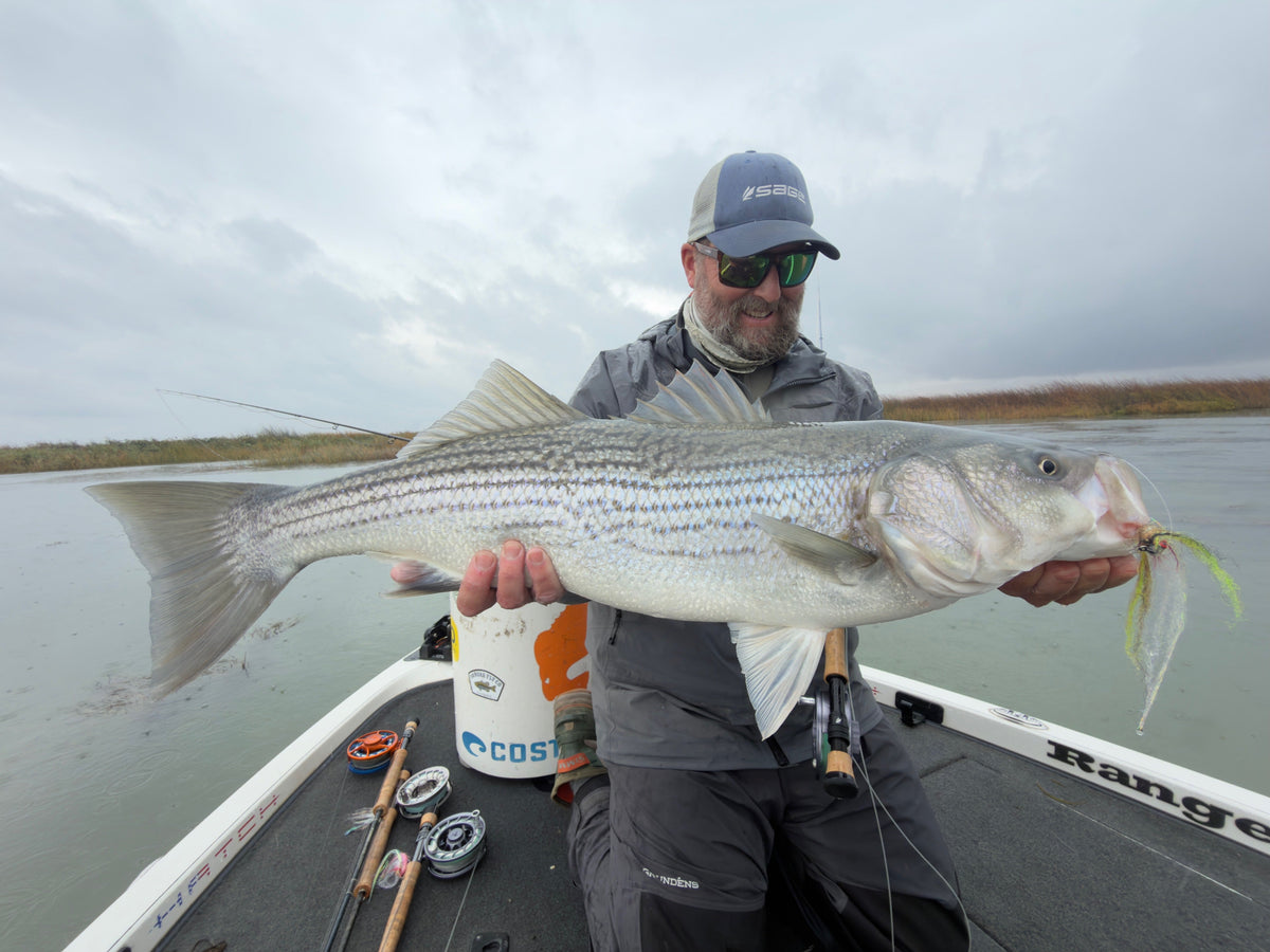 Local Surf & Bay Fly Fishing Report