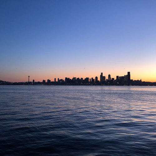 Puget Sound Fly Fishing Report