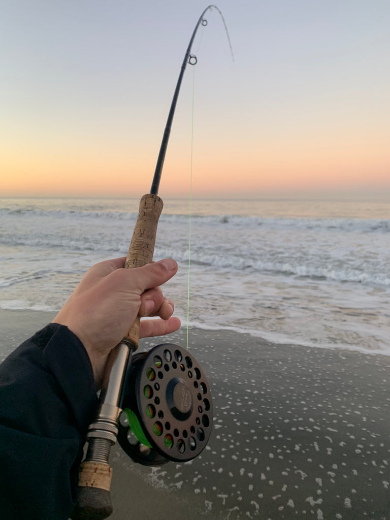 Local Surf Fly Fishing Report