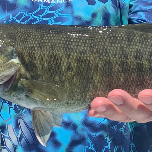 California Delta Fly Fishing Report