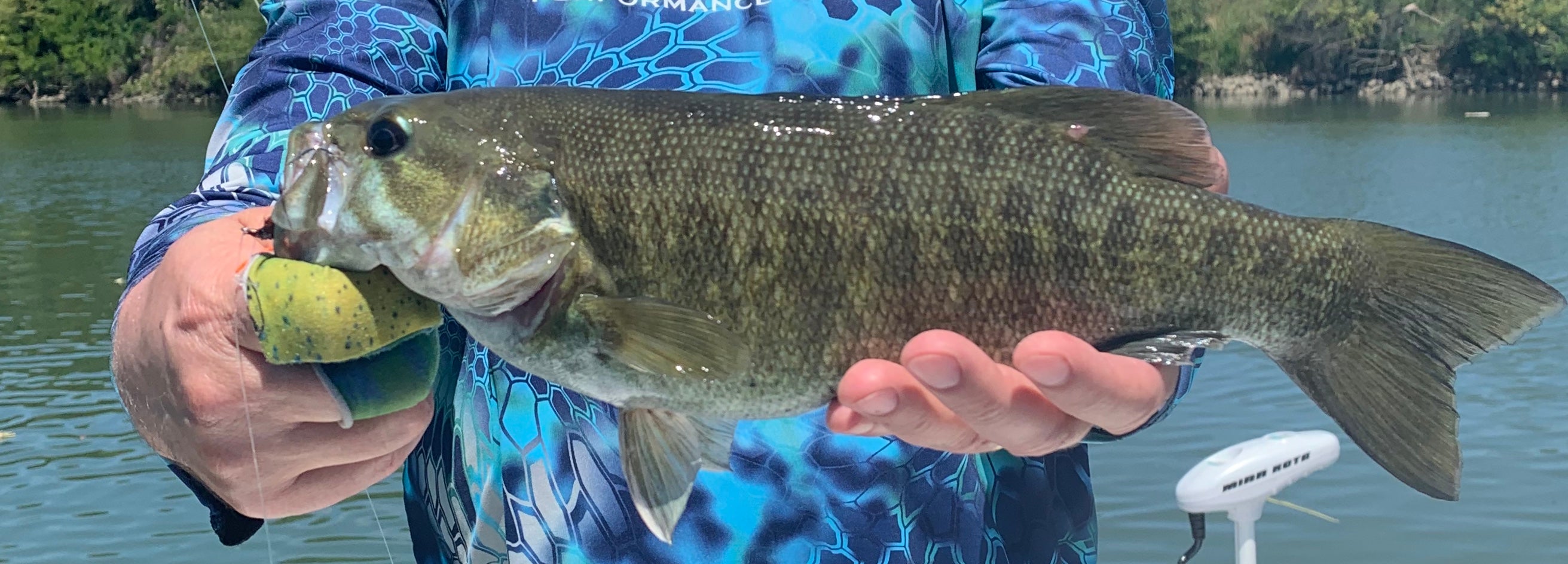 California Delta Fly Fishing Report