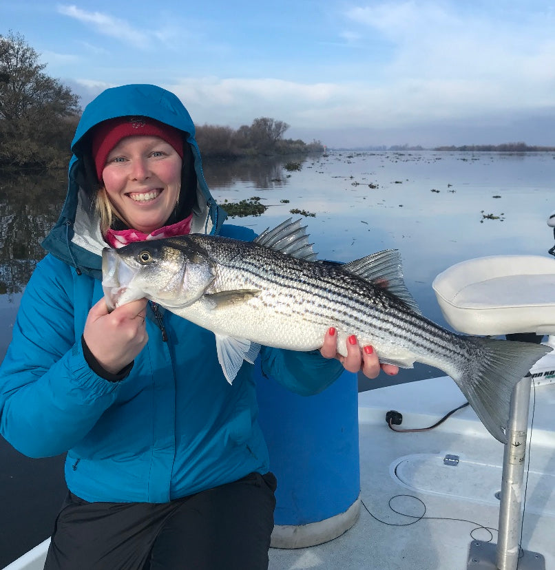 California Delta Fly Fishing Report