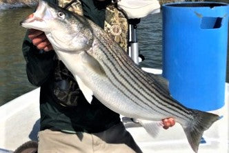 California Delta Fly Fishing Report