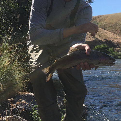 Deschutes Fly Fishing Report