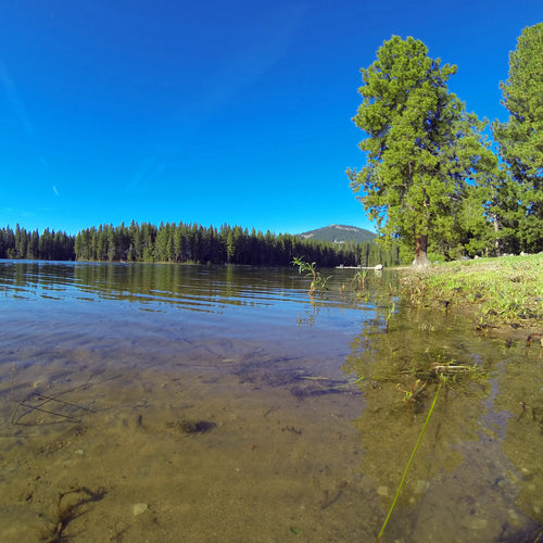 Lake Davis Fly Fishing Report