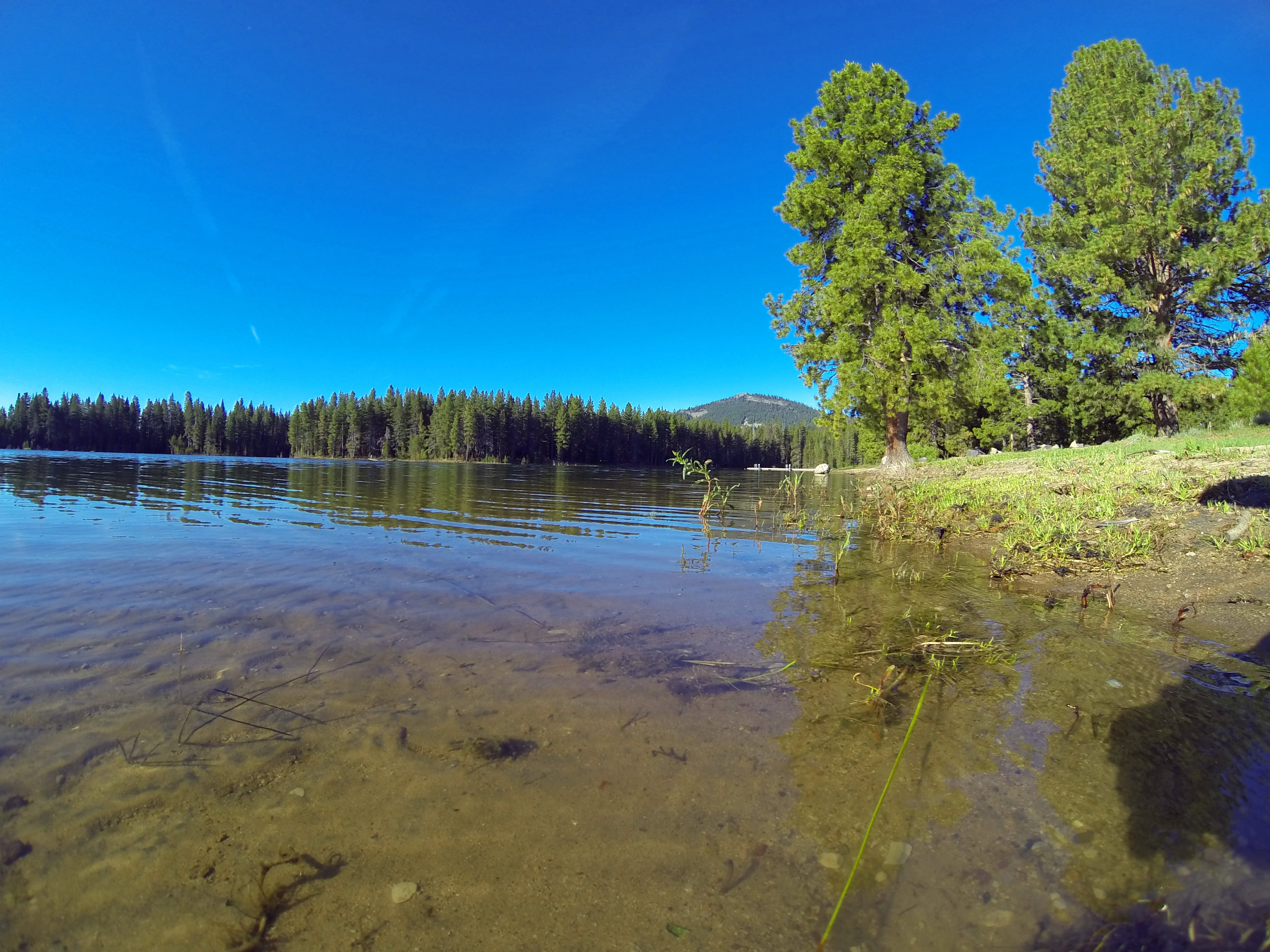 Lake Davis Fly Fishing Report