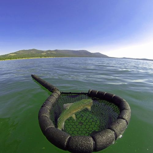 Northern Sierra Fly Fishing Report