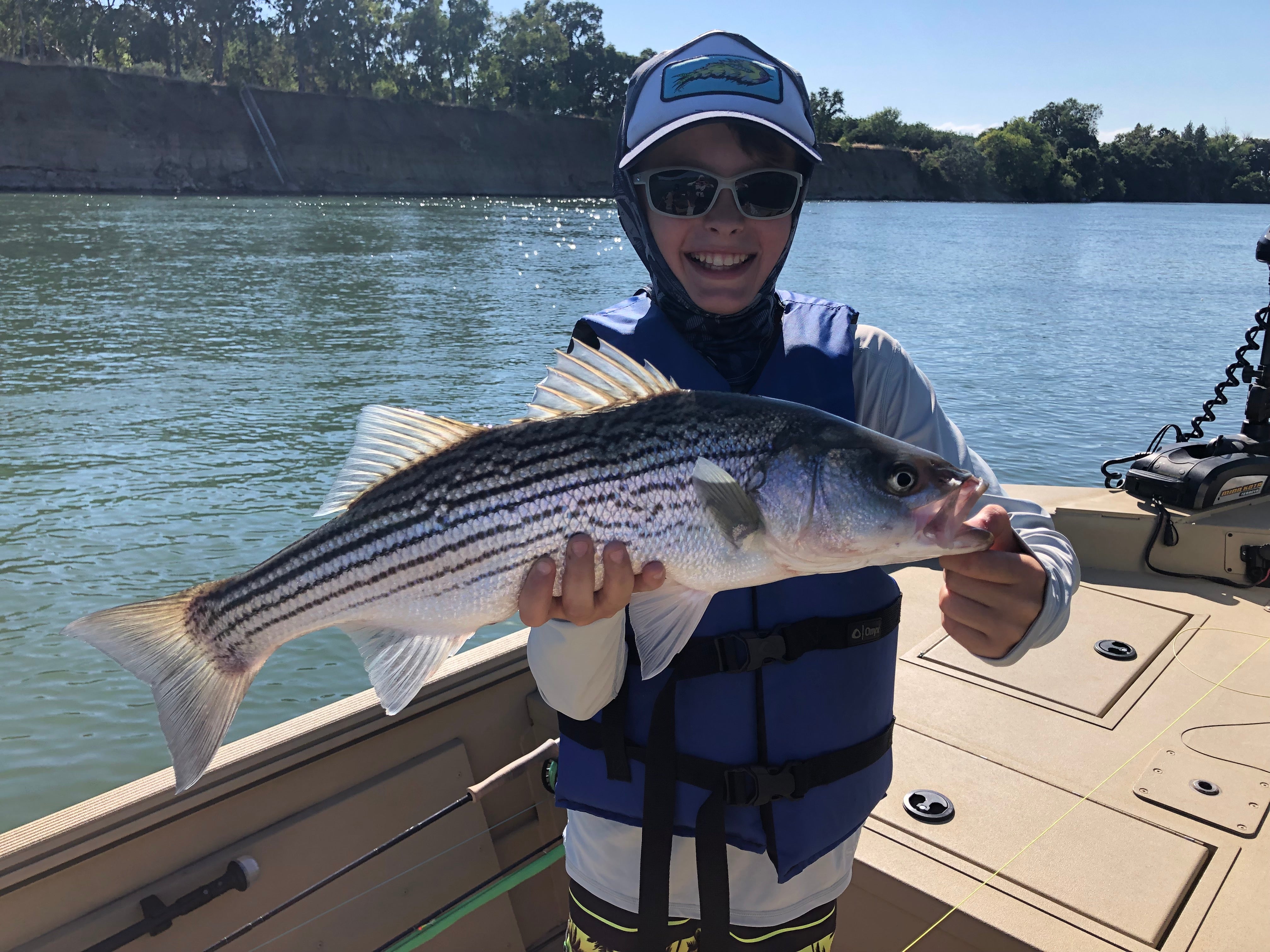 Lower Sacramento Striper and Salmon Report