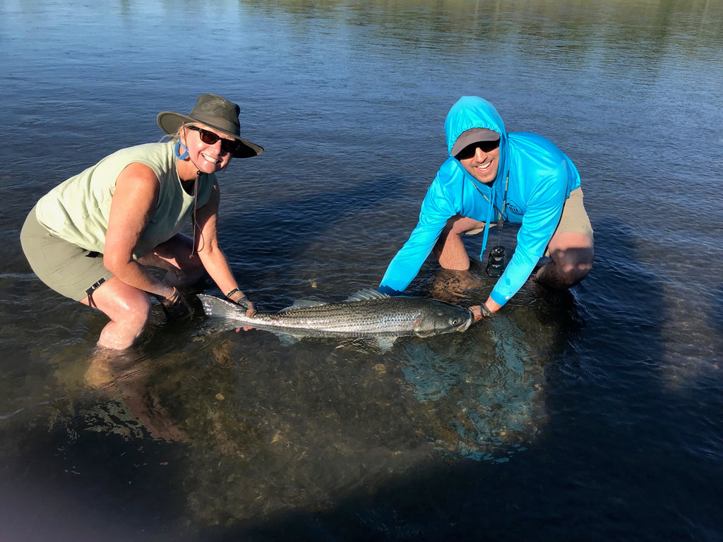 Lower Sacramento Fly Fishing Report Stripers