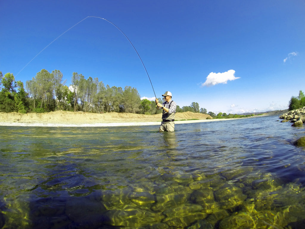 Lower Yuba River Fly Fishing Report