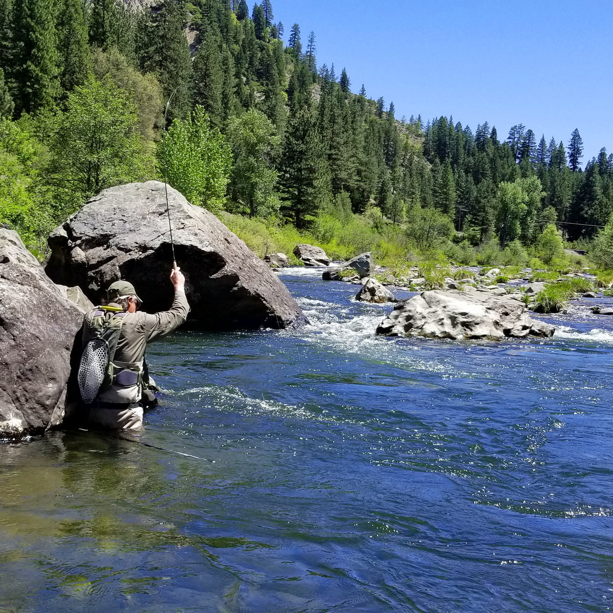 bent rod middle fork salmon river fly fishing shops of the Middle Fork Feather River Fly