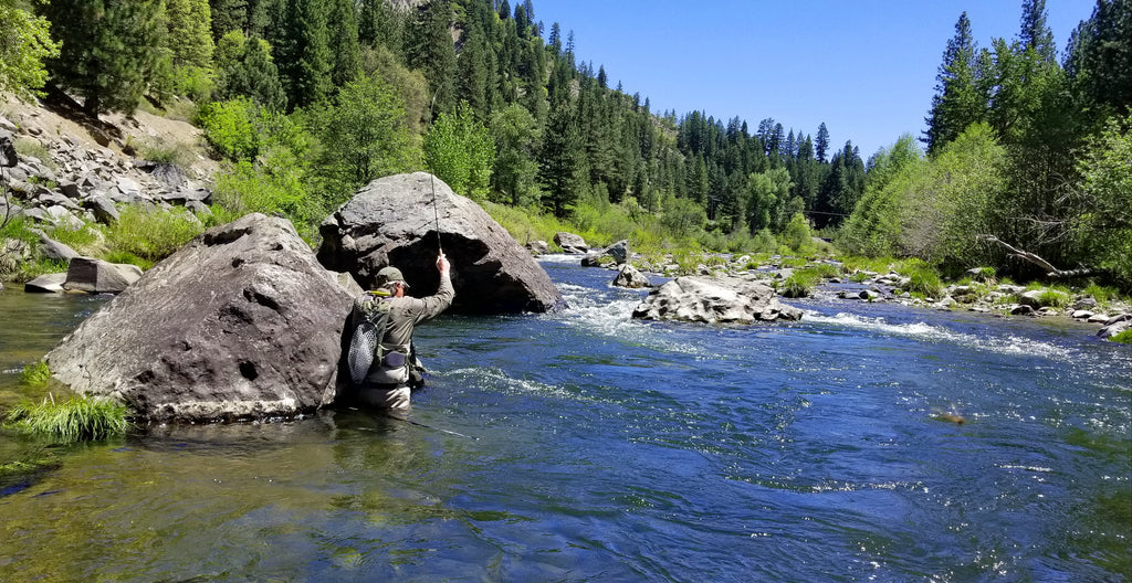 Middle Fork Feather River Fly Fishing Report 5-26-20