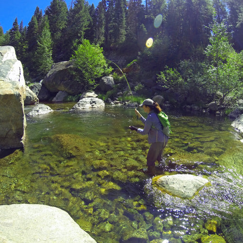 North Fork Yuba Fly Fishing Report