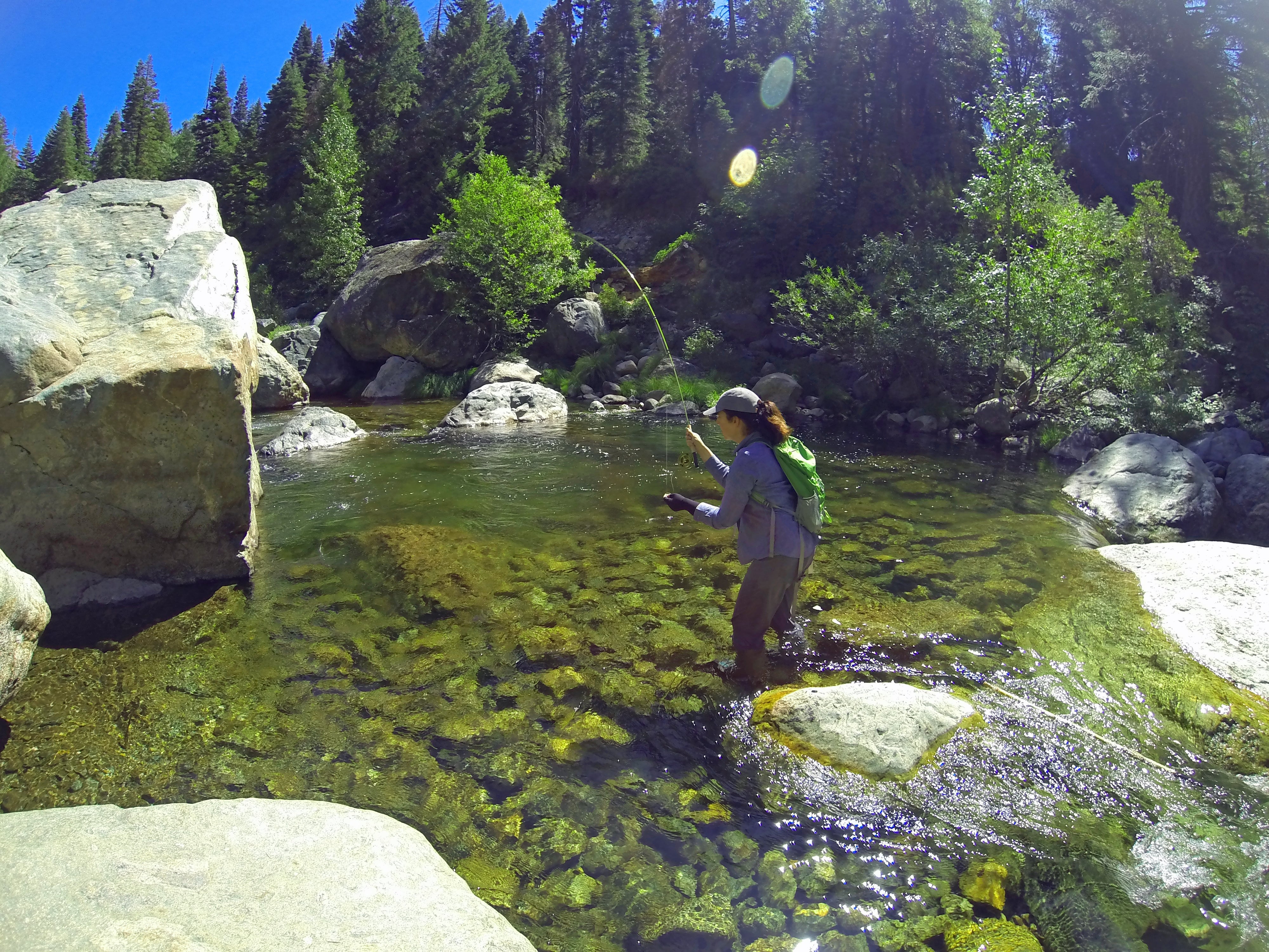 North Fork Yuba Fly Fishing Report