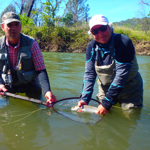 Putah Creek Fly Fishing Report