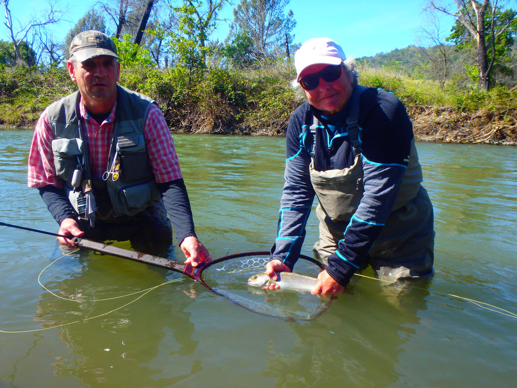 Putah Creek Fly Fishing Report