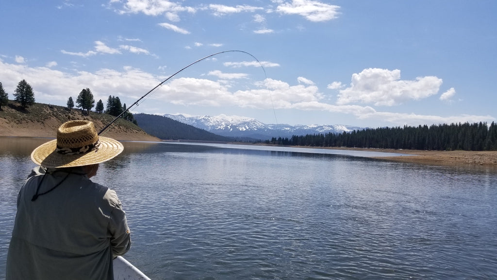 Northern Sierra Fly Fishing Report