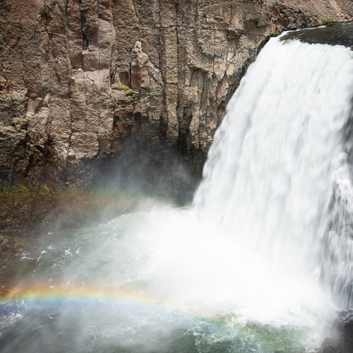 Eastern Sierra Fly Fishing Report