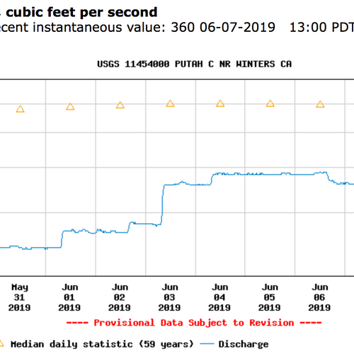 Putah Creek Fly Fishing Report