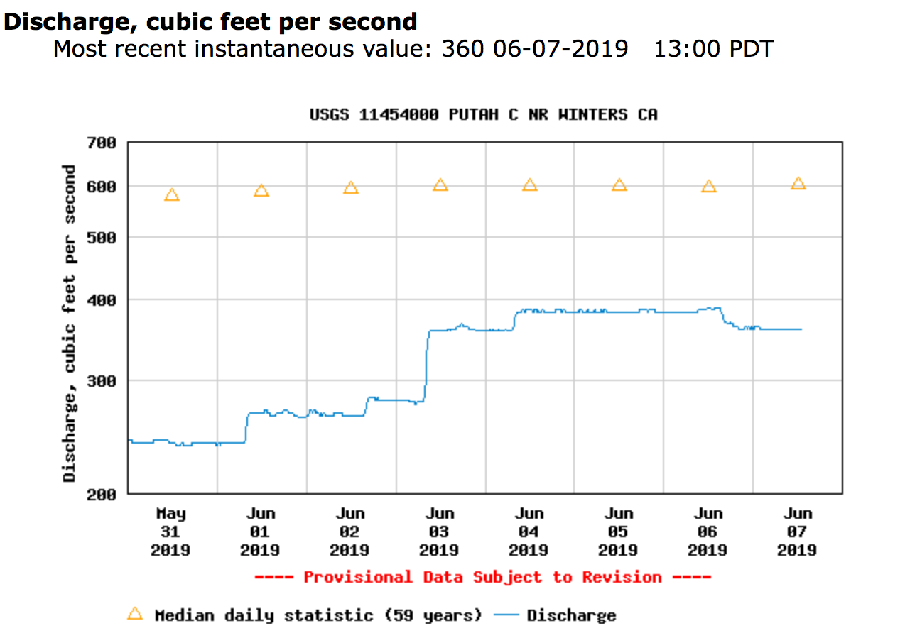 Putah Creek Fly Fishing Report