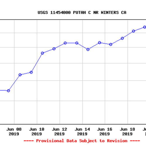 Putah Creek Fly Fishing Report