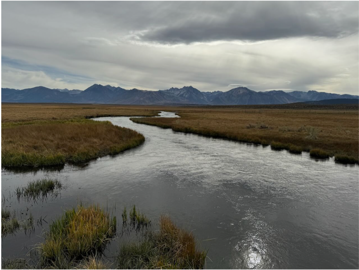 Eastern Sierra Fly Fishing Report