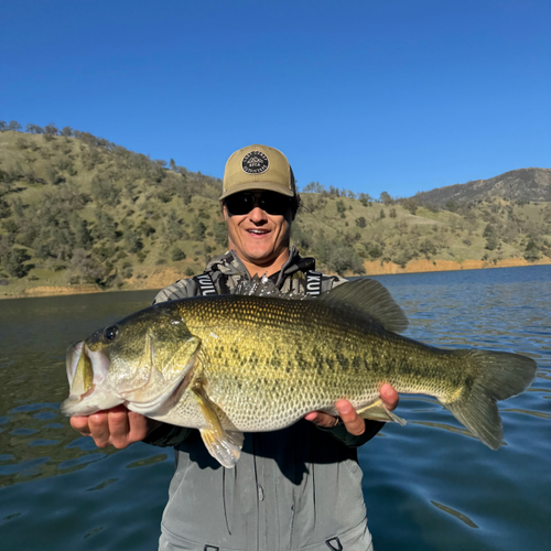 Lake Berryessa Fly Fishing Report