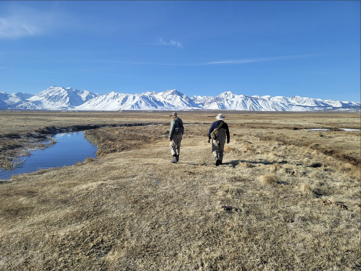 Eastern Sierra Trout & Warmwater Fly Fishing Report