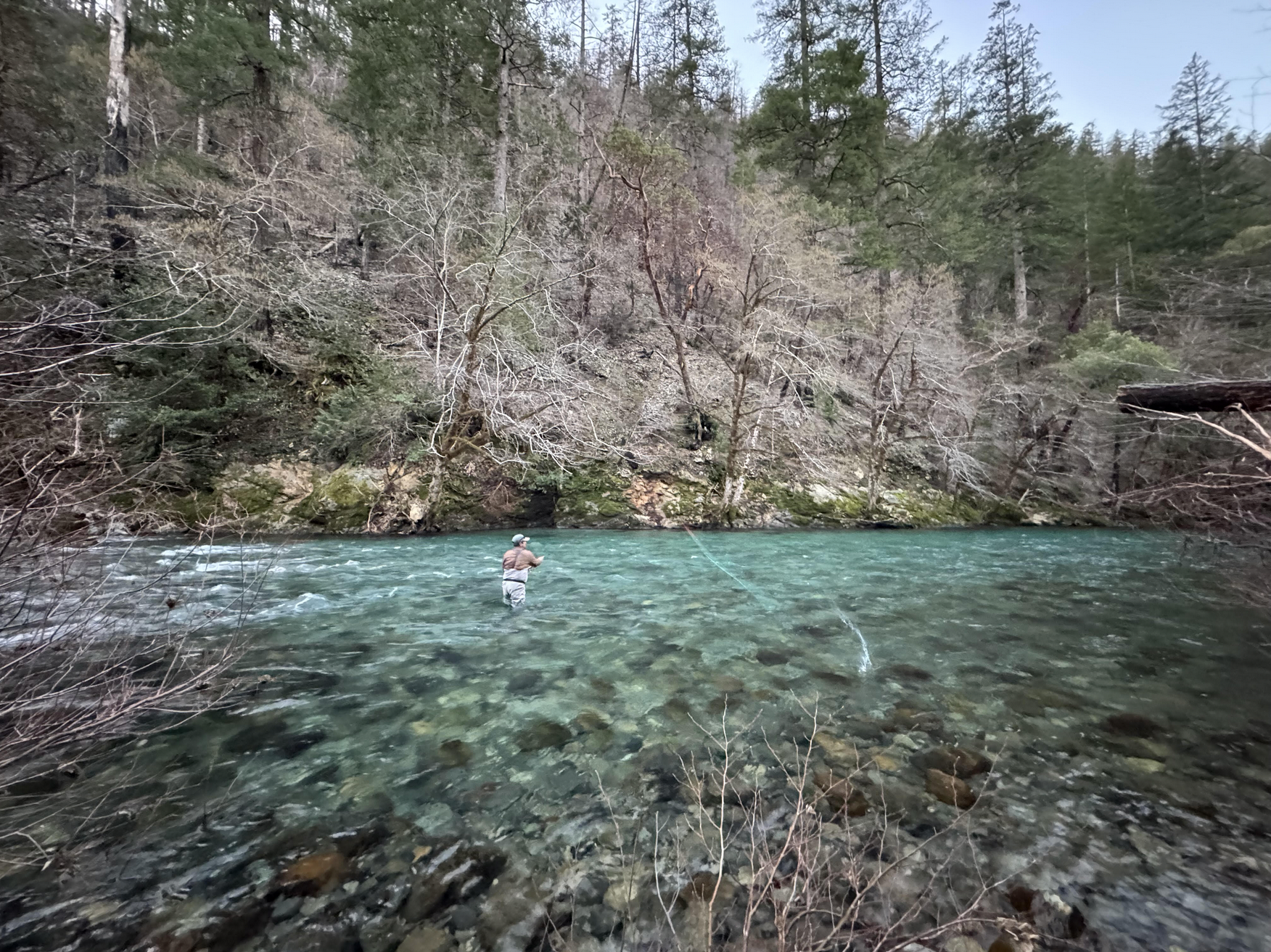 McCloud and Upper Sac Fly Fishing Report