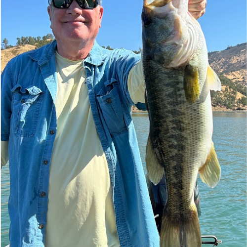 Lake Berryessa & Putah Creek Fly Fishing Report