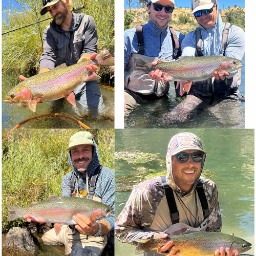 Lake Berryessa & Putah Creek Fly Fishing Report