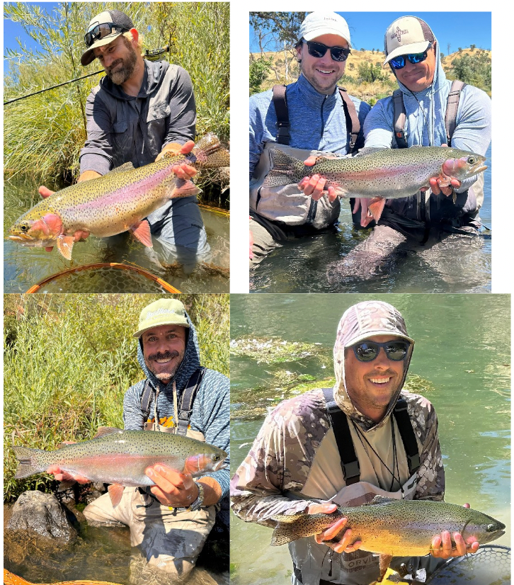 Lake Berryessa & Putah Creek Fly Fishing Report