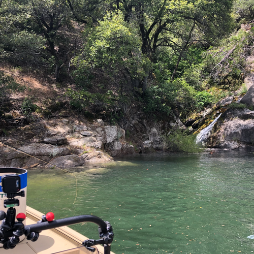Lake Oroville Fly Fishing Report