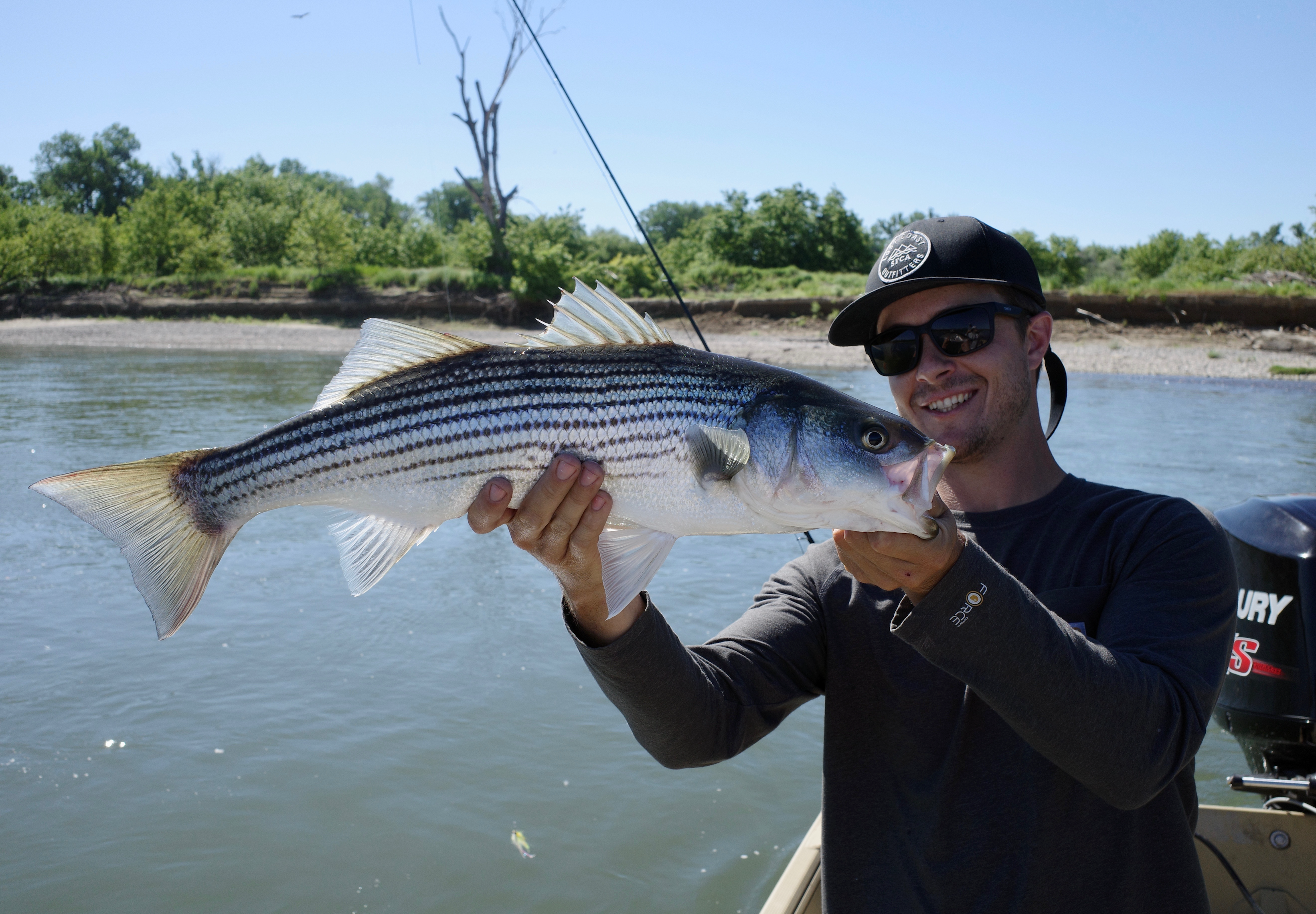 Lower Sacramento Striper Fly Fishing Report