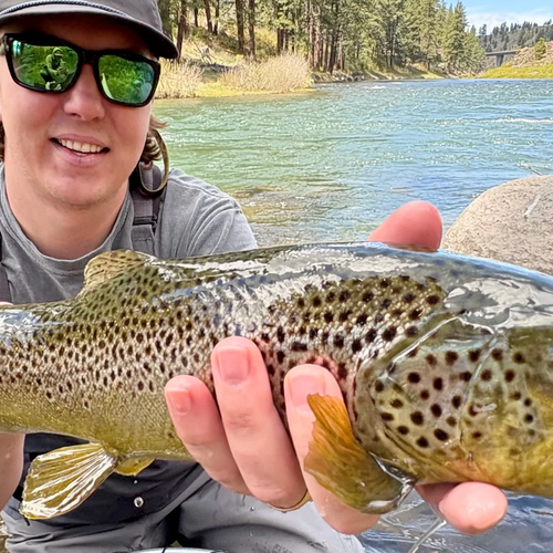 Truckee River Fly Fishing Report