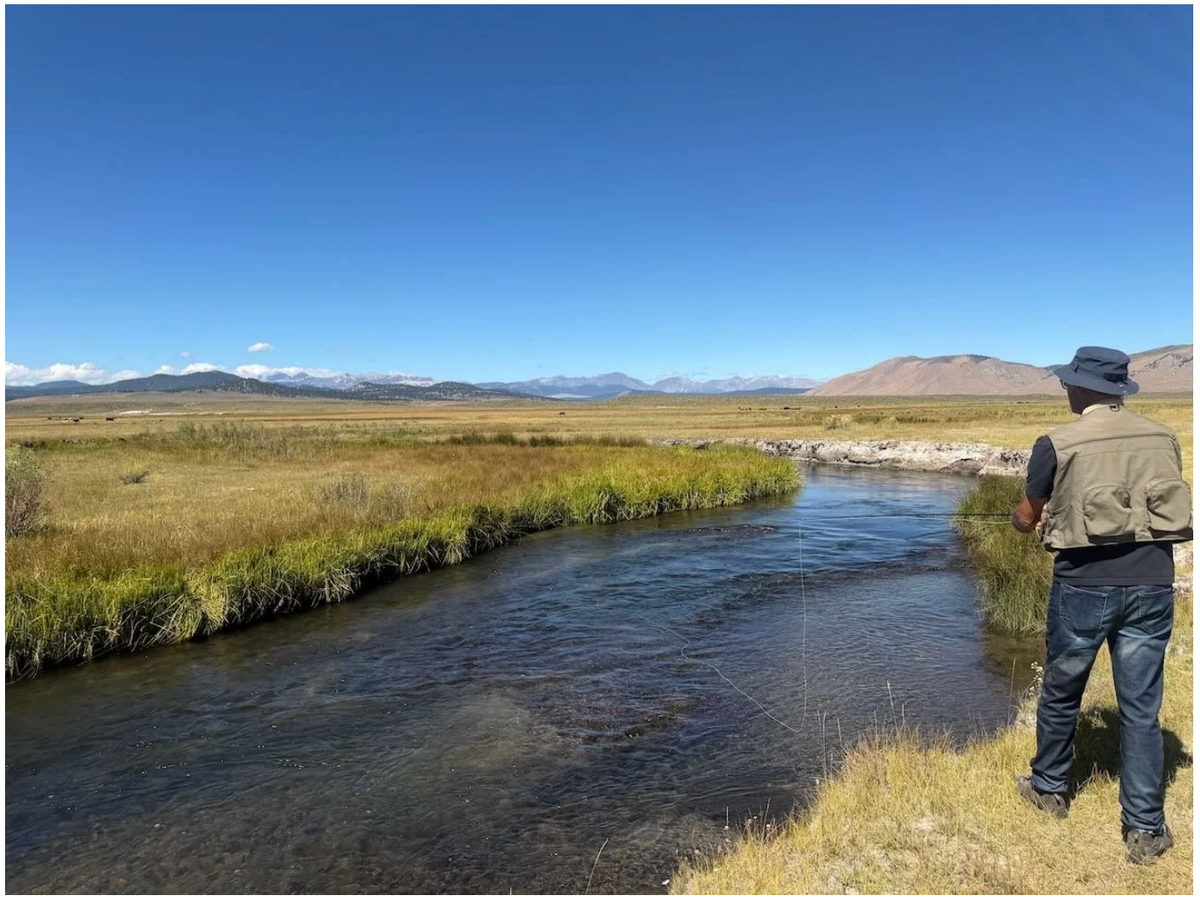 Eastern Sierra Fly Fishing Report