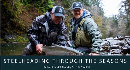 Steelheading Through The Seasons