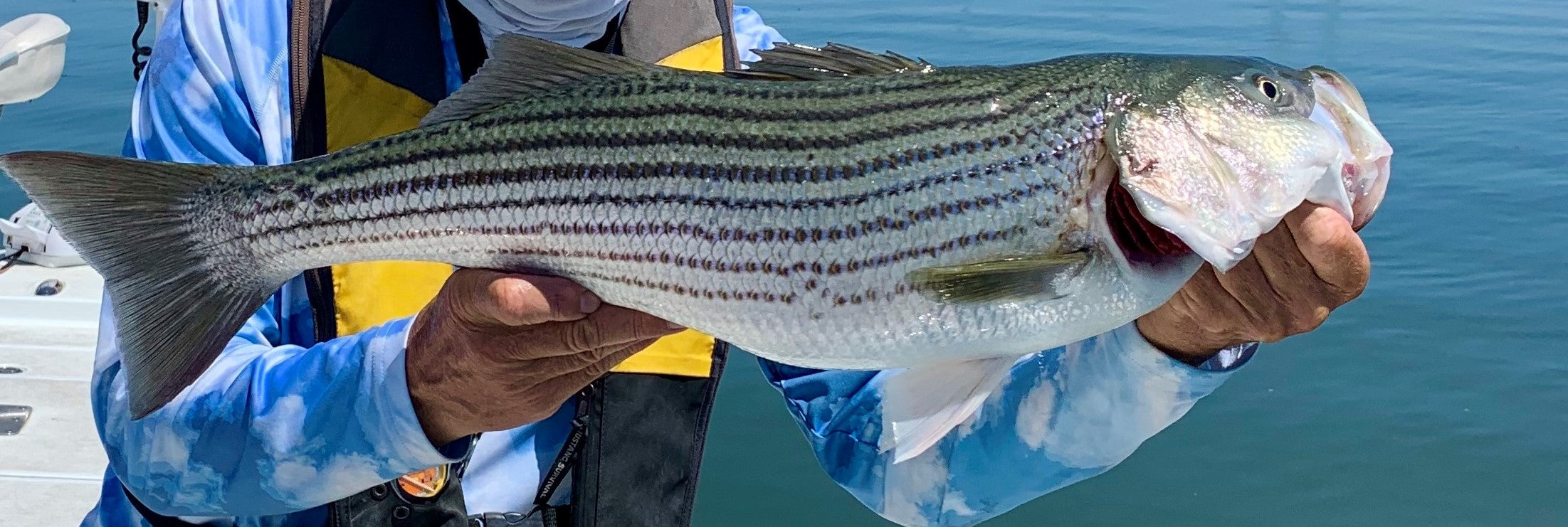 Delta Fly Fishing Report