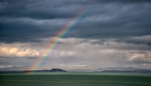 Eastern Sierra Fly Fishing Report