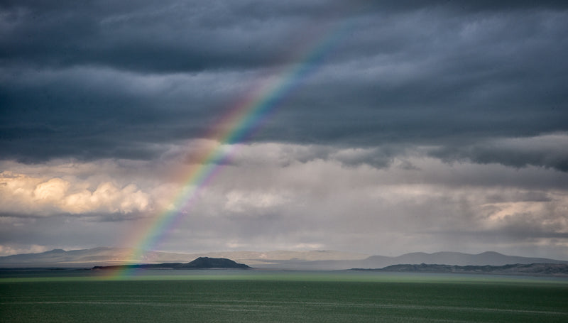 Eastern Sierra Fly Fishing Report