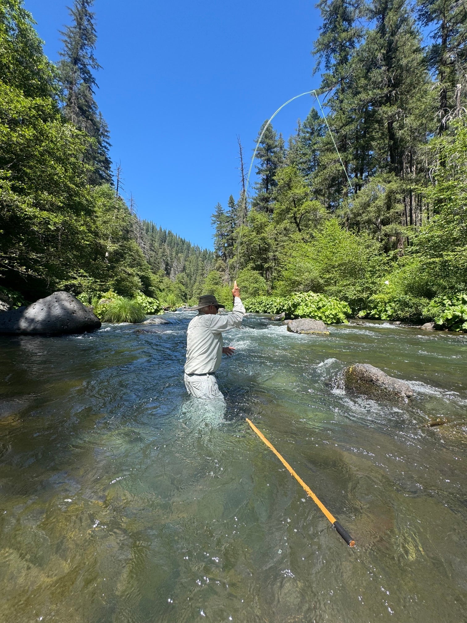 Shasta & Klamath Area Fly Fishing Report