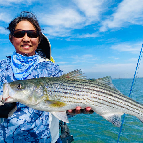 California Delta Fly Fishing Report